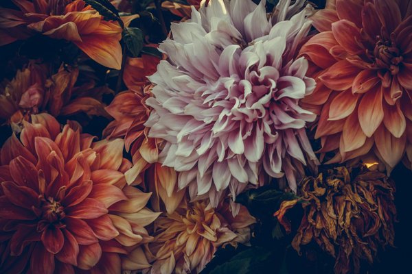 Les meilleures parois de douche design pour un budget raisonnable