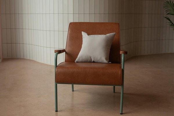 Deratisation paris 20: votre solution anti-nuisibles