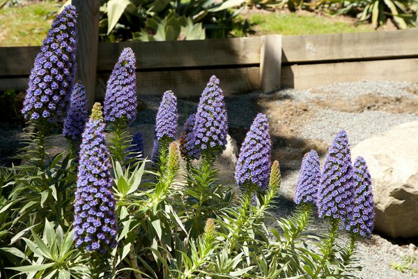 Choisir le brasero idéal : jardin, extérieur ou terrasse